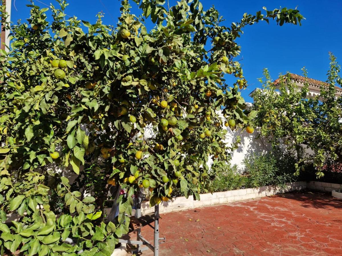 Villa Costa Marbella Exterior foto
